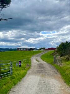 Paint and Sip Pakenham street entry