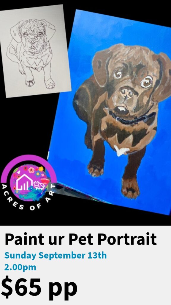 Paint your Pet
